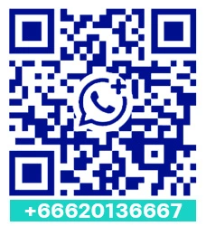 QR Code WhatsApp