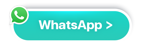 WhatsApp contact us